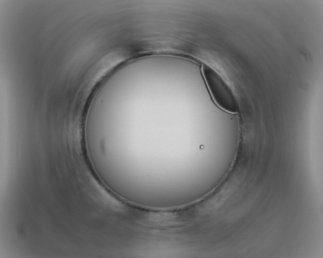 X0000114111285200910191655