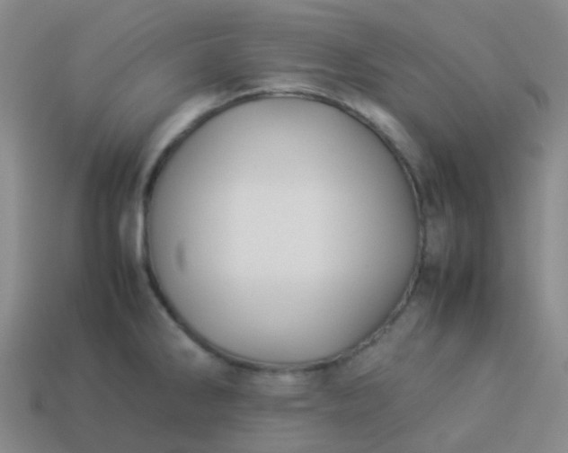 X0000114111286200910191655