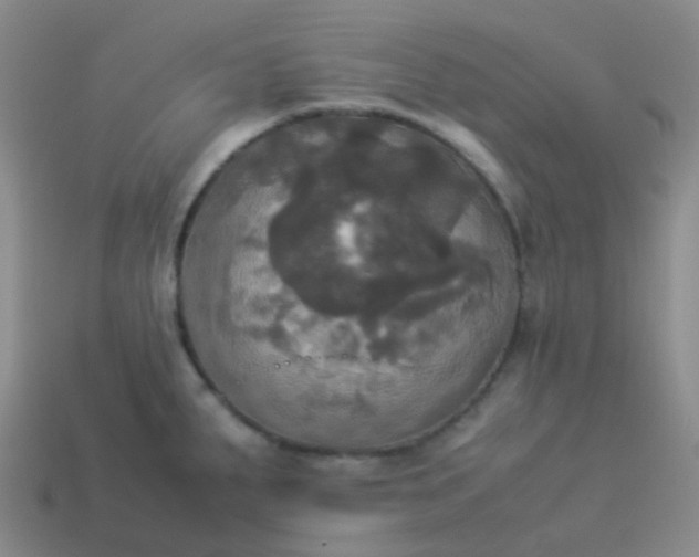 X0000114111287200910191655