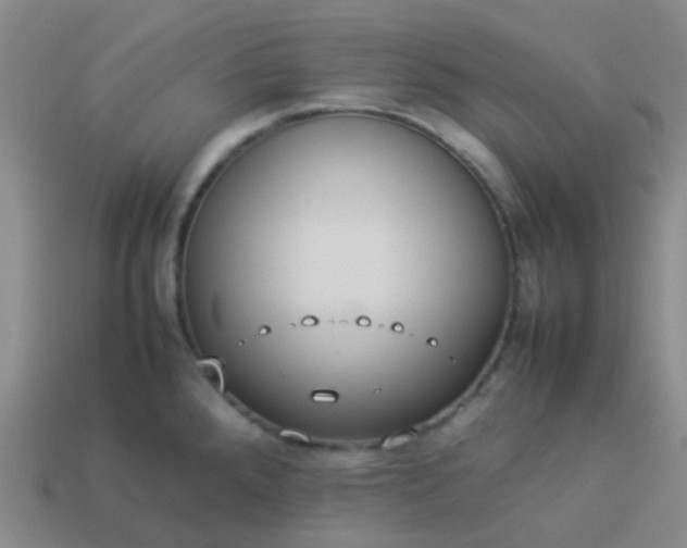 X0000114111288200910191655