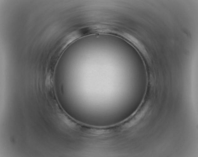 X0000114111289200910191655