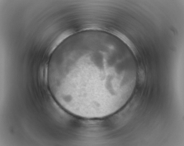 X0000114111290200910191655