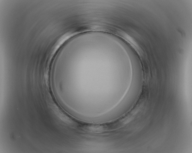 X0000114111291200910191655