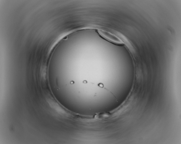 X0000114111292200910191655