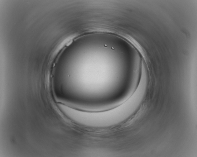 X0000114111293200910191655