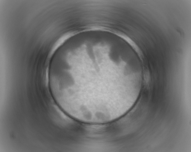 X0000114111294200910191655