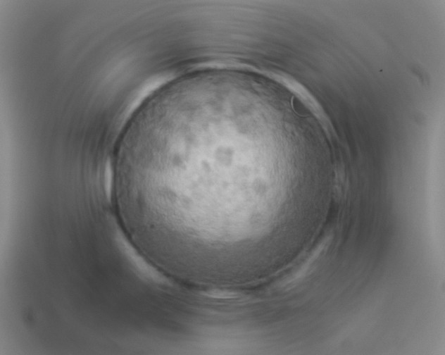 X0000114111295200910191655