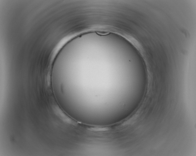 X0000114111296200910191655