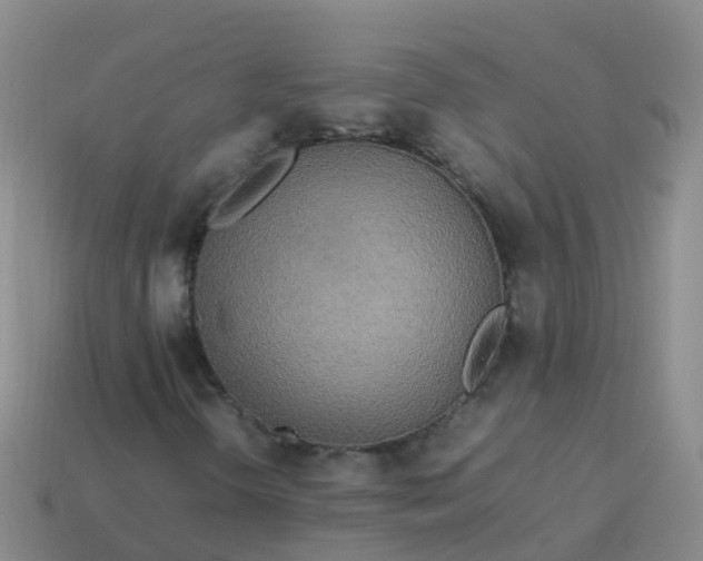 X0000114111298200910191654