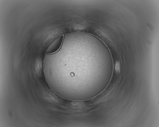 X0000114111299200910191654