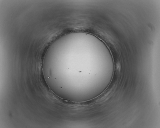 X0000114111300200910191654