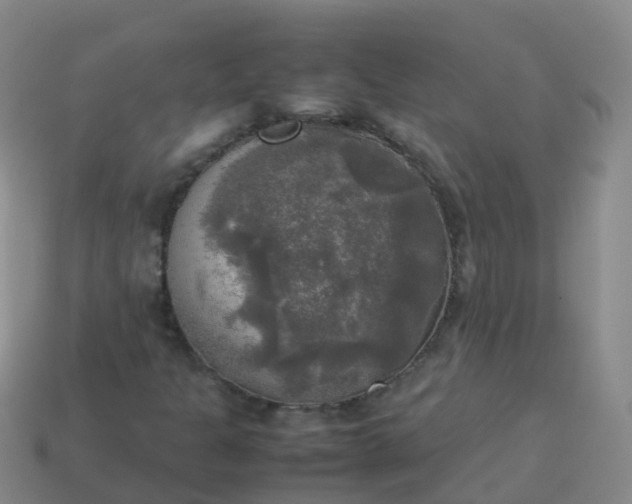 X0000114111301200910191654