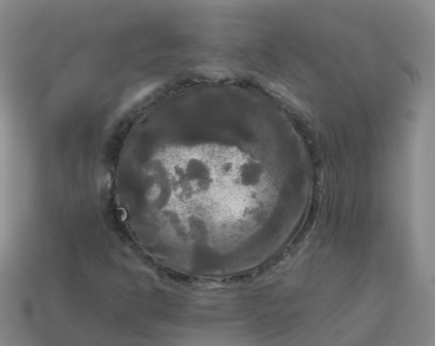 X0000114111302200910191654