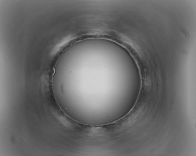 X0000114111304200910191654