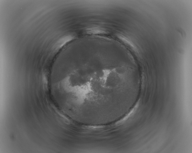 X0000114111305200910191654