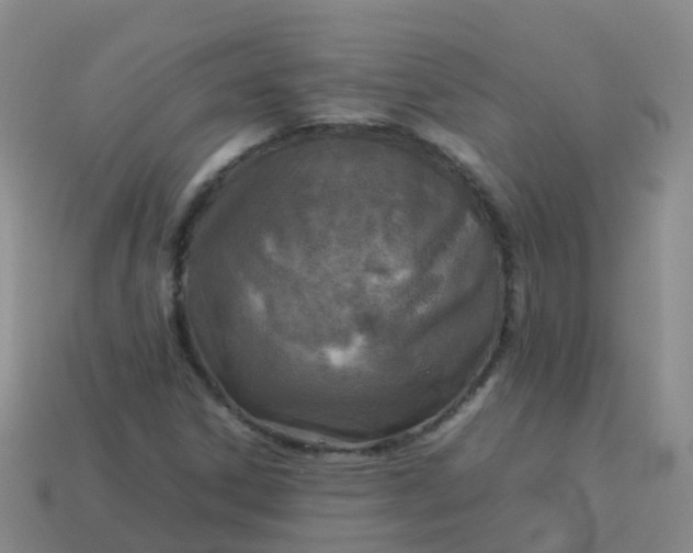 X0000114111306200910191654