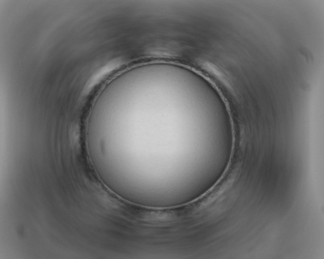 X0000114111307200910191654