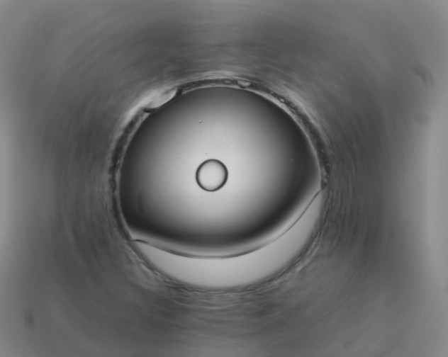 X0000114111308200910191654