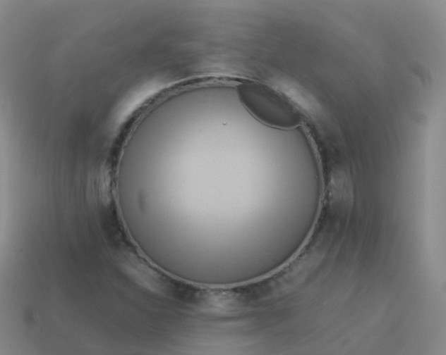 X0000114111310200910191654