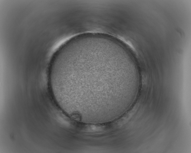 X0000114111311200910191654