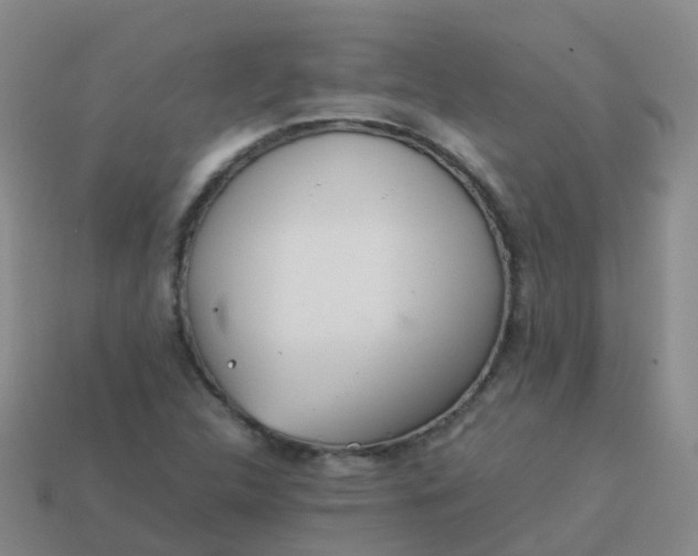 X0000114111312200910191654