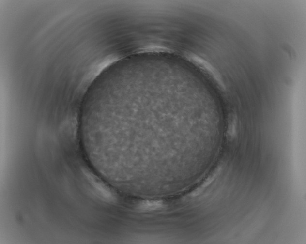 X0000114111313200910191654