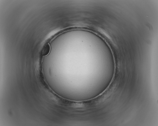 X0000114111315200910191654