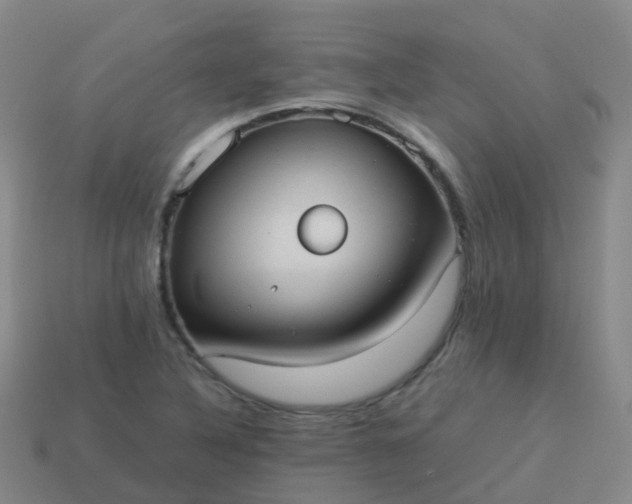 X0000114111316200910191654