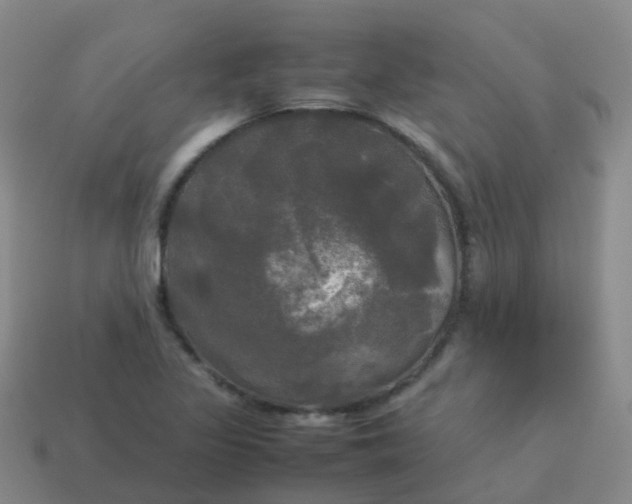 X0000114111317200910191654