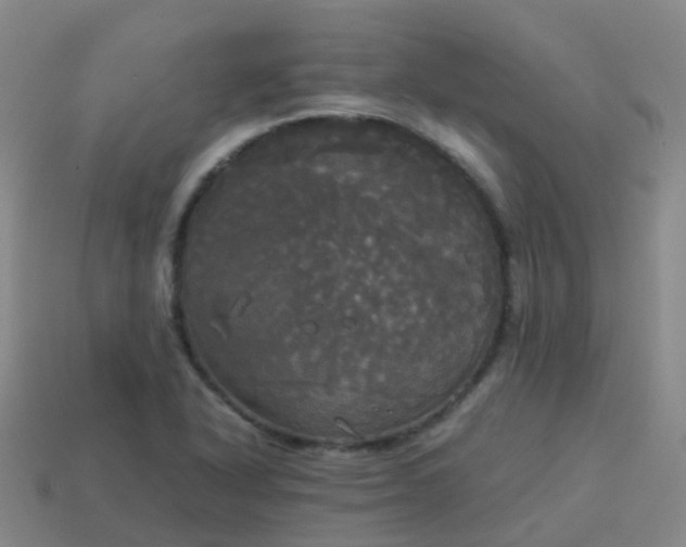 X0000114111318200910191654