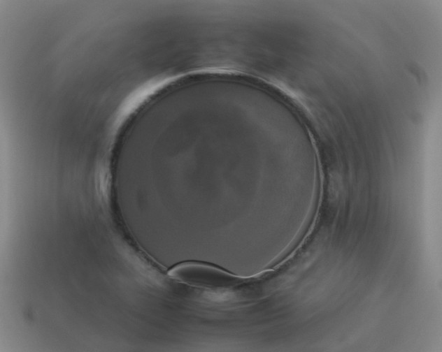 X0000114111319200910191654