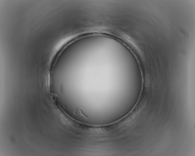 X0000114111320200910191654