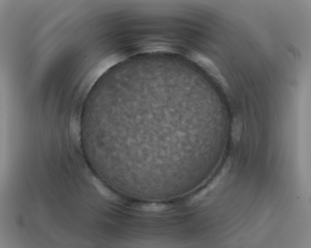 X0000114111321200910191654