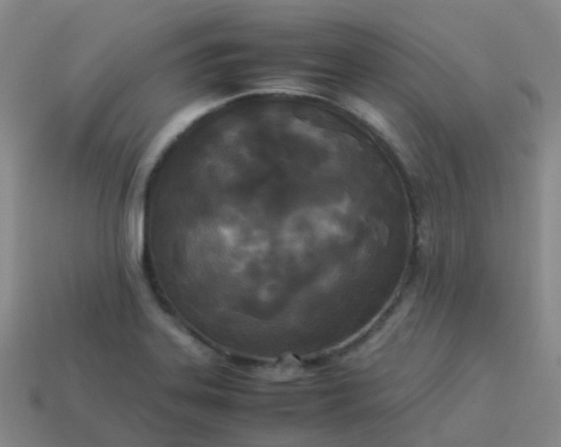 X0000114111323200910191654