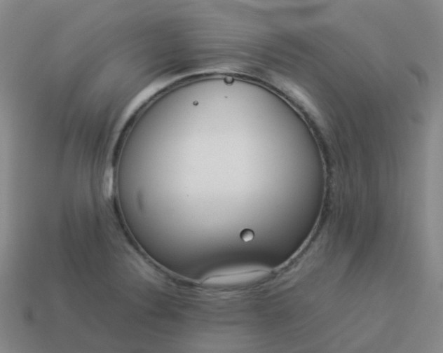 X0000114111324200910191654