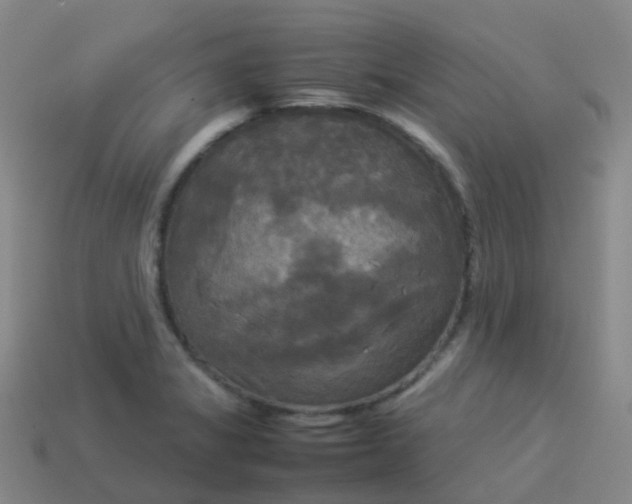 X0000114111325200910191654