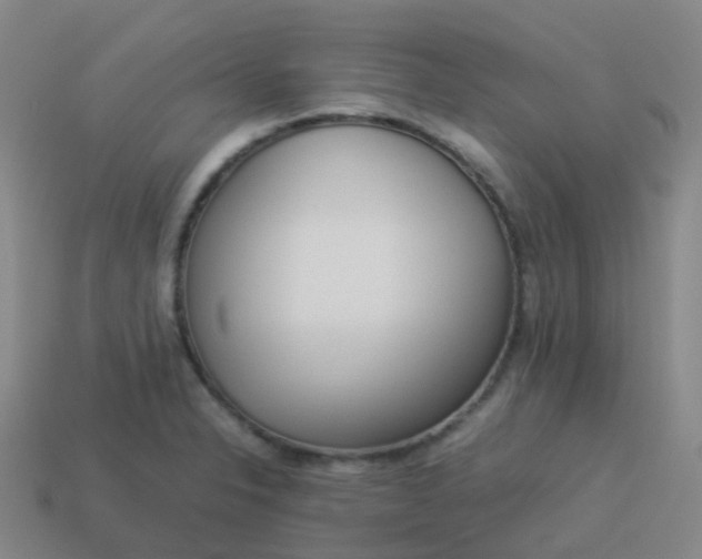 X0000114111326200910191654