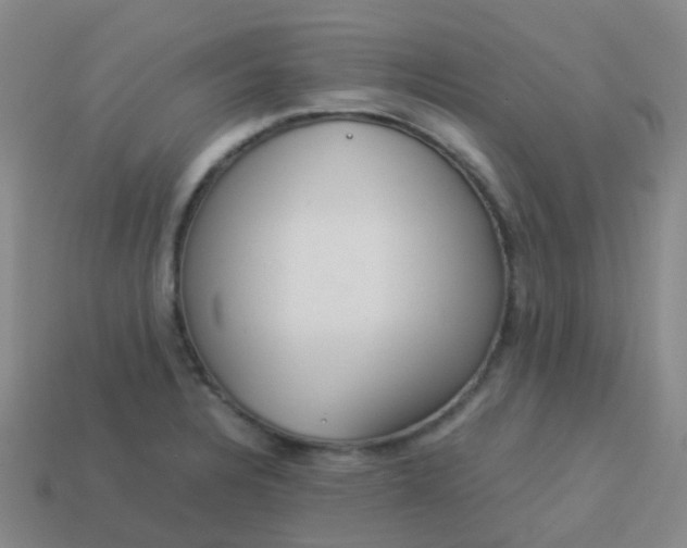 X0000114111328200910191654