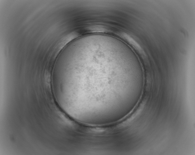 X0000114111329200910191654