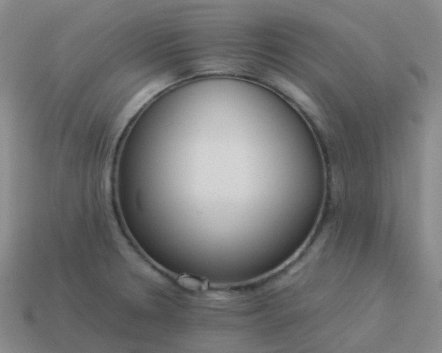 X0000114111330200910191654