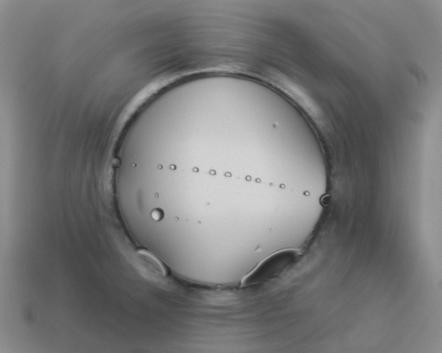 X0000114111332200910191654