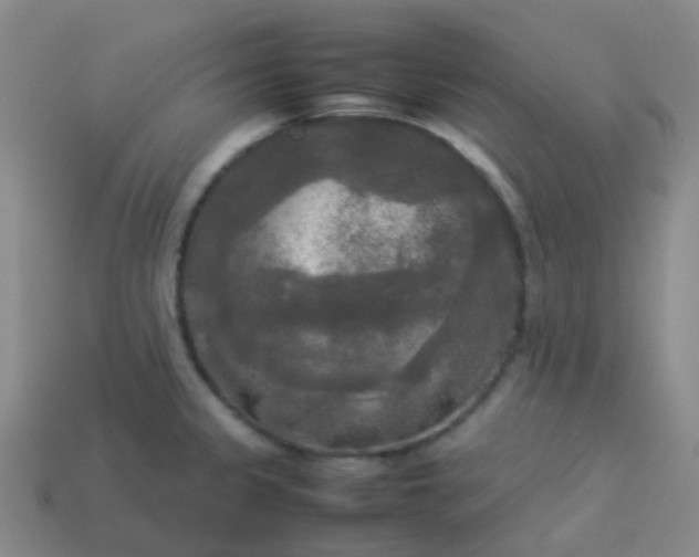 X0000114111333200910191654