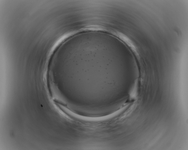 X0000114111334200910191654