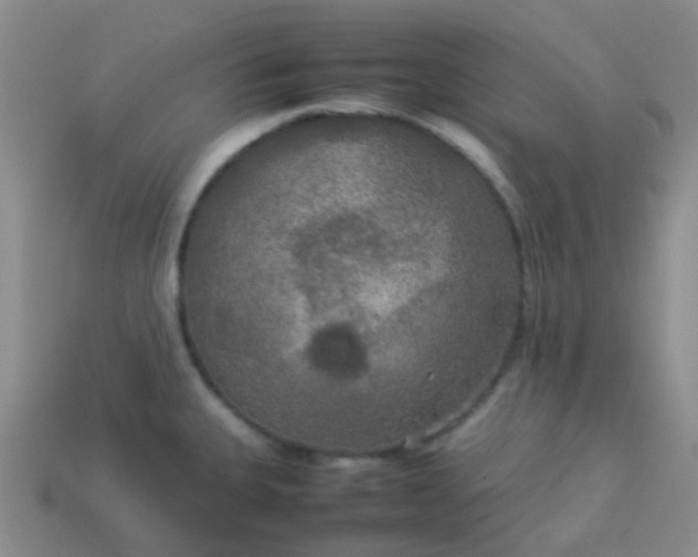 X0000114111335200910191654