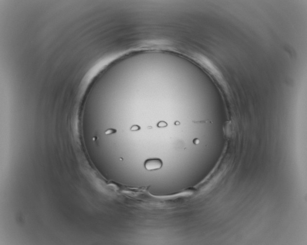 X0000114111336200910191654