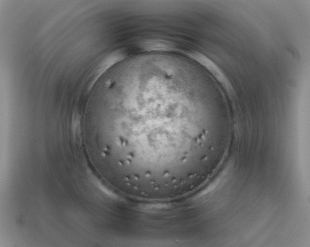 X0000114111337200910191654