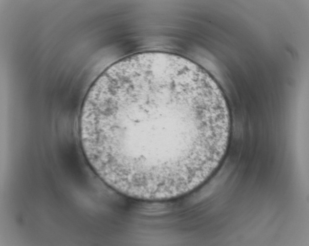 X0000114111338200910191654