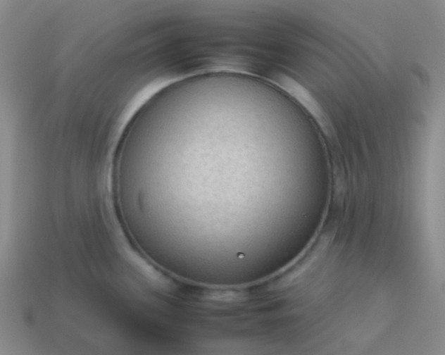 X0000114111339200910191654