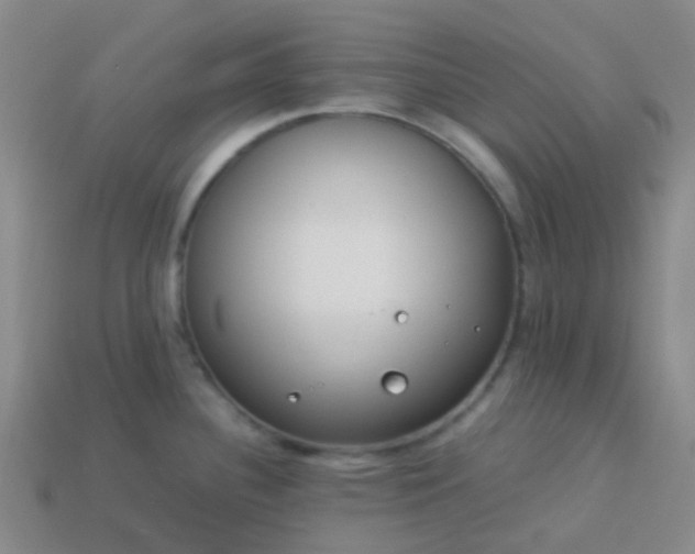 X0000114111340200910191654