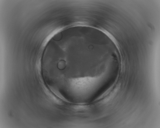 X0000114111341200910191654